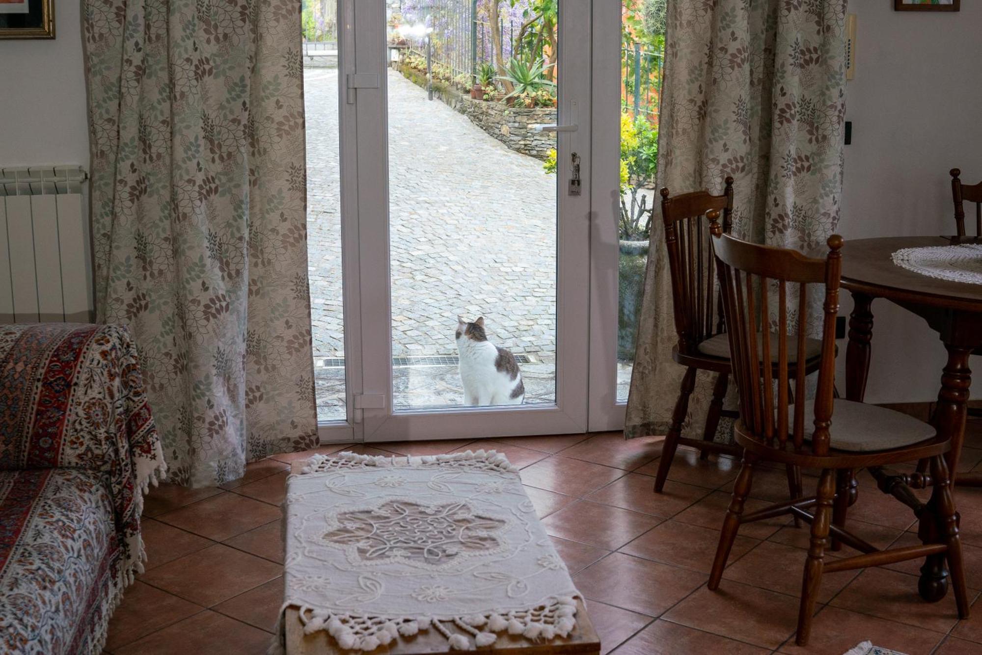 B&B Collina E Mare Camogli Exterior foto